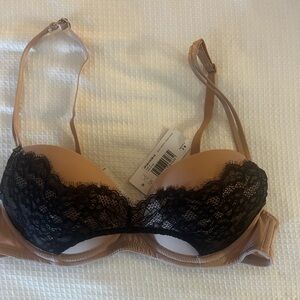 NWT Push up and padded bra